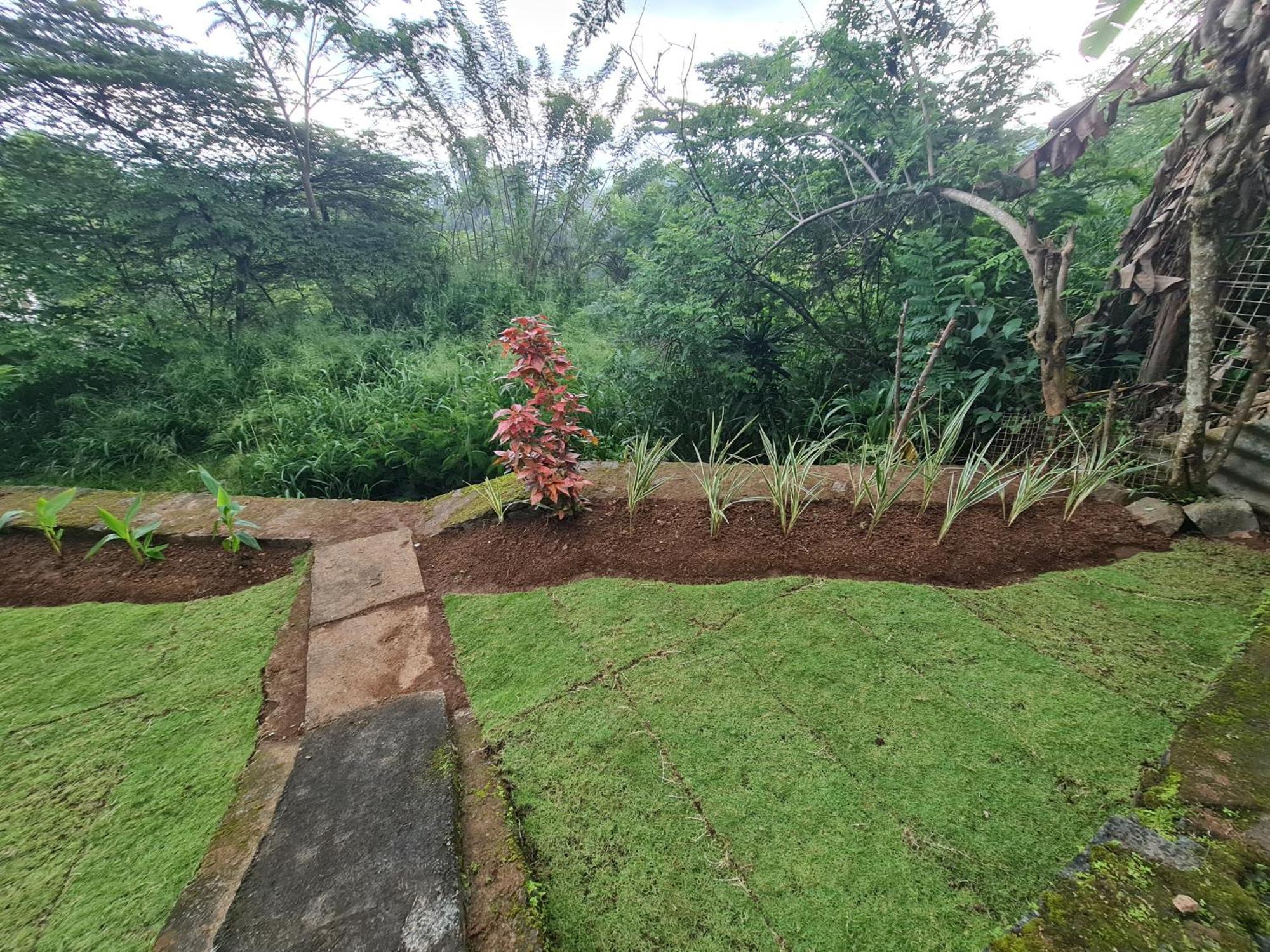 Hello Kandy Homestay Buitenkant foto
