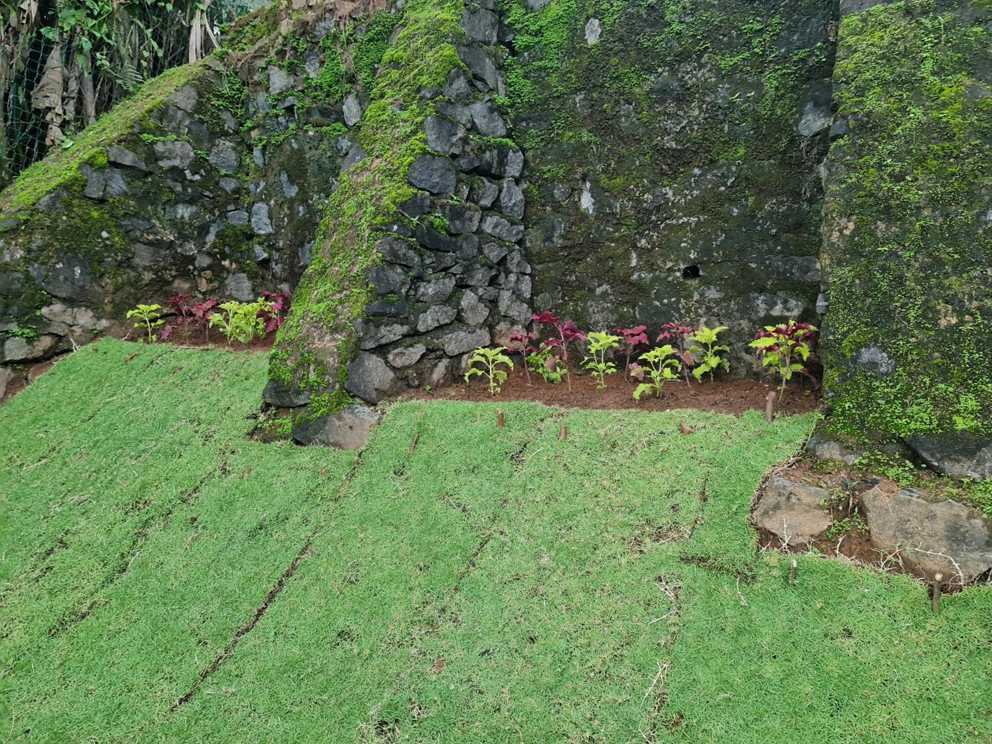 Hello Kandy Homestay Buitenkant foto
