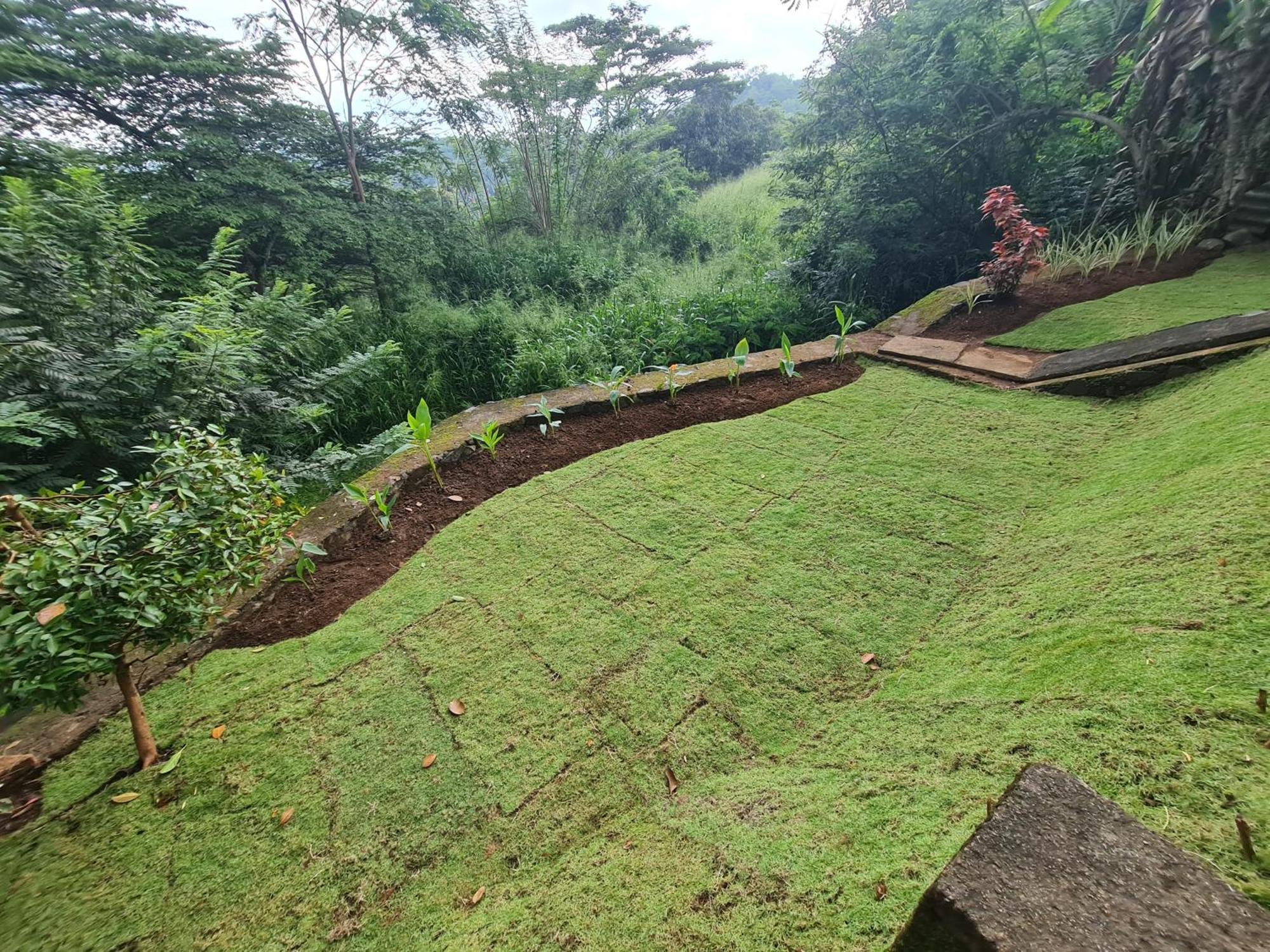 Hello Kandy Homestay Buitenkant foto